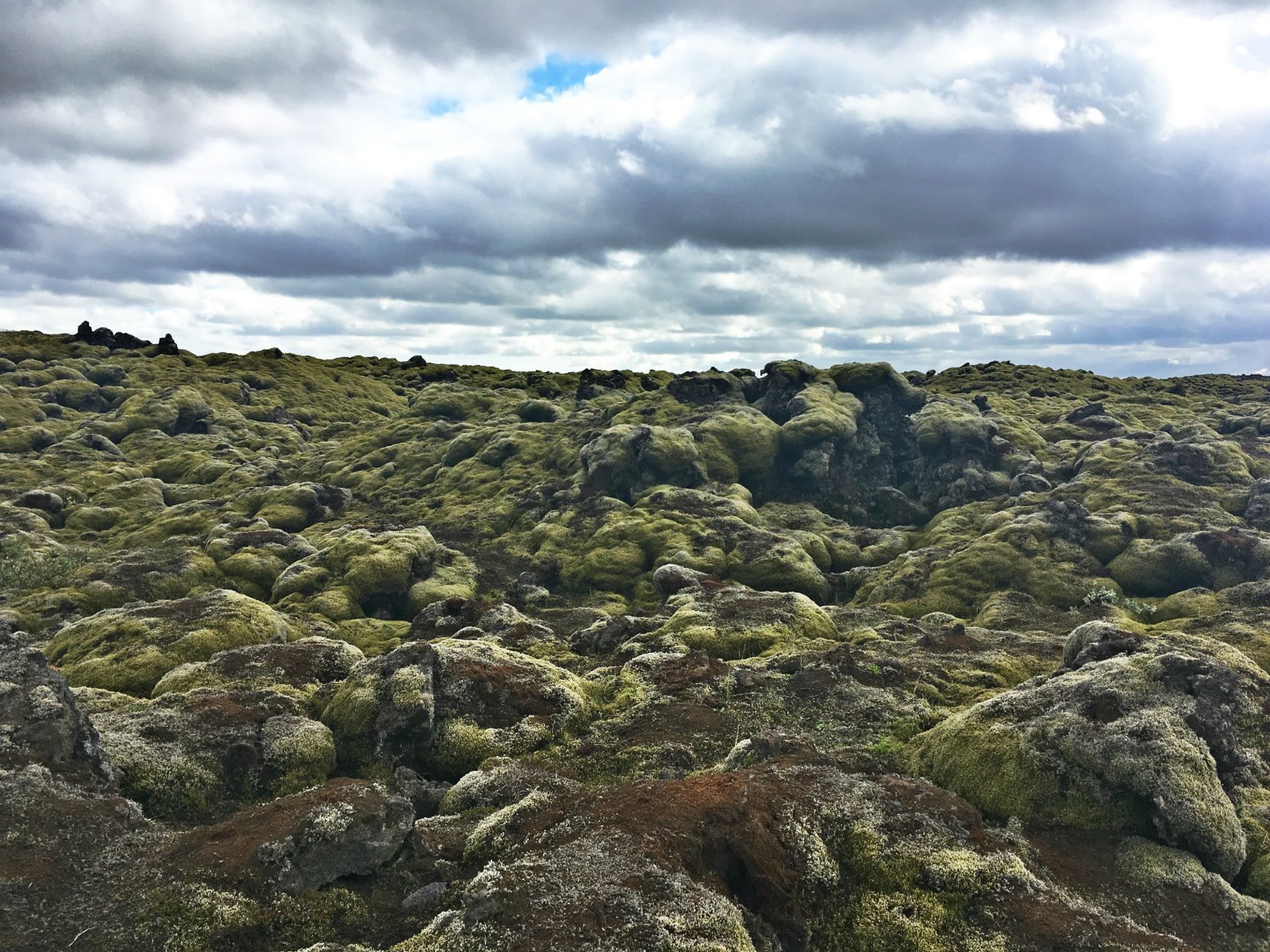 Icelandic lava field